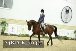 24BUCK_10377 thumbnail