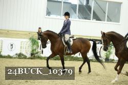24BUCK_10379 thumbnail