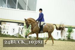 24BUCK_10381 thumbnail
