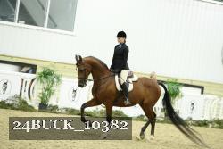24BUCK_10382 thumbnail