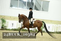 24BUCK_10384 thumbnail