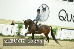 24BUCK_10385 thumbnail