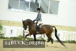 24BUCK_10386 thumbnail