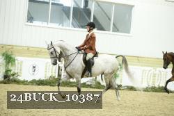 24BUCK_10387 thumbnail