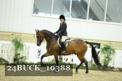 24BUCK_10388 thumbnail