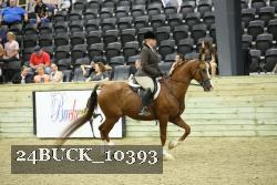 24BUCK_10393 thumbnail