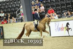 24BUCK_10395 thumbnail