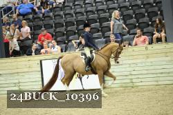 24BUCK_10396 thumbnail