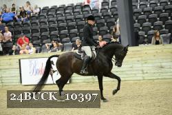 24BUCK_10397 thumbnail