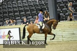 24BUCK_10398 thumbnail
