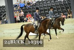 24BUCK_10399 thumbnail