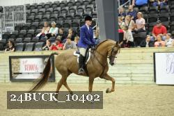 24BUCK_10402 thumbnail
