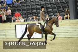 24BUCK_10406 thumbnail
