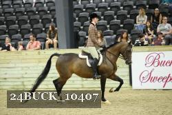 24BUCK_10407 thumbnail