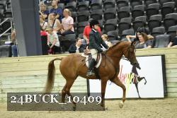 24BUCK_10409 thumbnail
