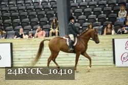 24BUCK_10410 thumbnail