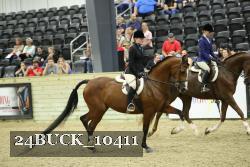 24BUCK_10411 thumbnail