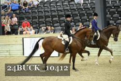 24BUCK_10412 thumbnail