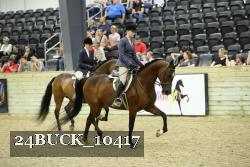 24BUCK_10417 thumbnail