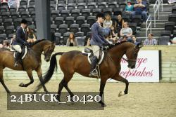 24BUCK_10420 thumbnail