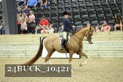 24BUCK_10421 thumbnail