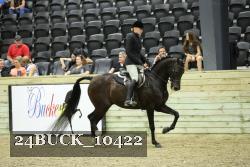 24BUCK_10422 thumbnail
