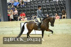 24BUCK_10424 thumbnail