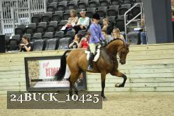 24BUCK_10425 thumbnail