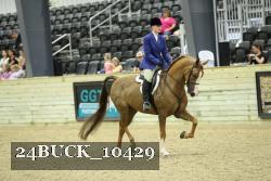 24BUCK_10429 thumbnail