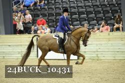 24BUCK_10431 thumbnail