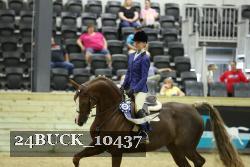 24BUCK_10437 thumbnail