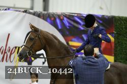 24BUCK_10442 thumbnail