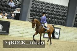 24BUCK_10449 thumbnail