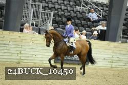 24BUCK_10450 thumbnail