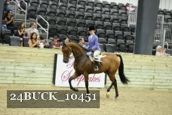 24BUCK_10451 thumbnail