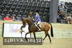24BUCK_10452 thumbnail