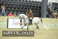 24BUCK_10456 thumbnail