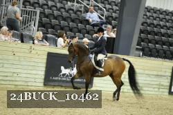 24BUCK_10462 thumbnail