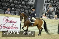 24BUCK_10463 thumbnail