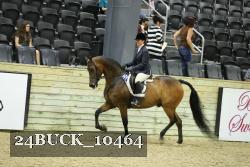 24BUCK_10464 thumbnail