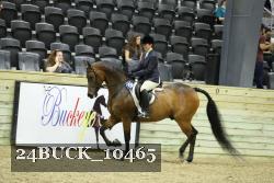 24BUCK_10465 thumbnail
