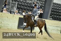 24BUCK_10469 thumbnail