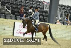 24BUCK_10471 thumbnail