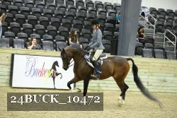 24BUCK_10472 thumbnail