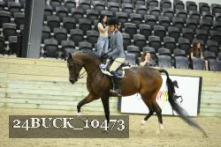 24BUCK_10473 thumbnail