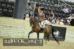 24BUCK_10475 thumbnail