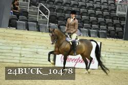 24BUCK_10478 thumbnail