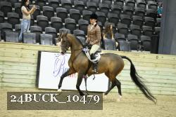 24BUCK_10479 thumbnail