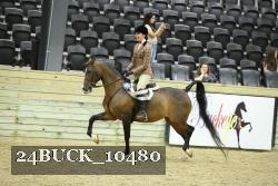 24BUCK_10480 thumbnail
