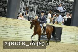 24BUCK_10483 thumbnail